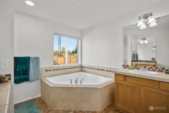 5 piece primary bathroom with soaking tub.