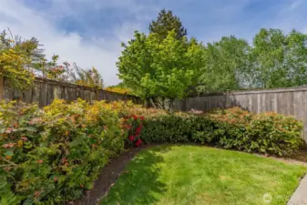Fully Fenced Backyard