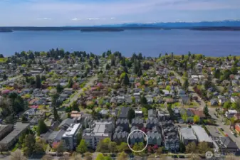 Take in stunning sunsets, views of the Olympics, and maybe even spot some orcas from a number of nearby parks and beaches, including beloved Lowman Beach Park and the expansive Lincoln Park (with the Colman Pool!).