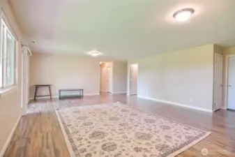Huge open space on lower floor with slider to the back patio