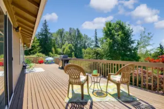 Another view of back deck