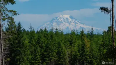 Mount Rainier & all her glory! Welcome to 20 E Cascade View located south of Allyn WA at Mountain View Estates. A small gated community.