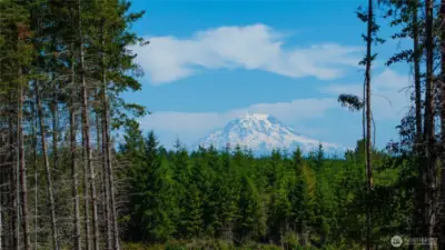 The Views of the mountain are stunning but so are the territorial views!