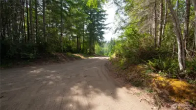Southern loop driveway to building site.