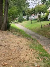 Trail at River Walk along the Puyallup River