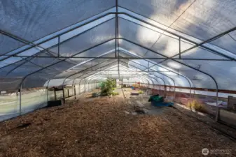 Incredible 30X96 plumbed greenhouse w/spigots and sink.
