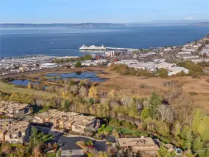 View of the complex looking out over Puget Sound, Mount Baker, the ferries, and the waterfront.