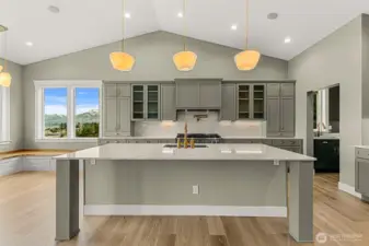 Large 10 ft X 4ft Island,  Butlers Pantry and Buffet counter among HIGH end appliance package.