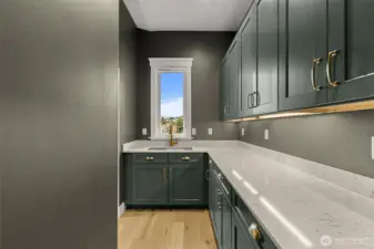 Butlers pantry allows you to Keep the kitchen clutter and mess free.