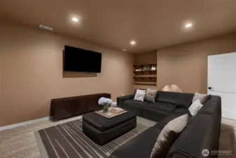 Theater Room
