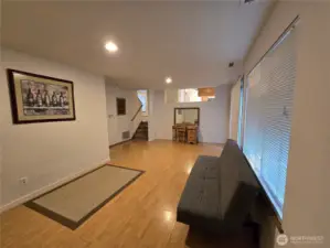 Lower level Family room.