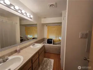 Primary Bedroom 5 piece bath.