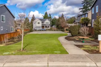 Community sport court