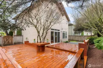 Wrap around entertaining deck with patio lights along the fence line and in the trees.