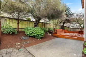 Patio for additional table seating or even a future hot tub?