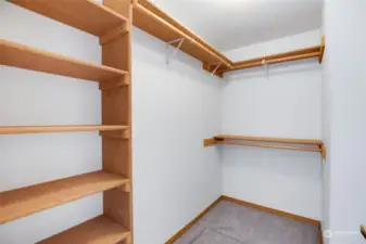 The all-important walk-in closet!