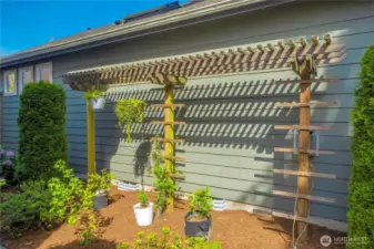 Trellis for hanging plant baskets.