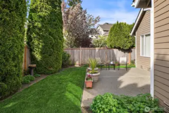 Private Backyard