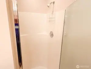Shower in the primary