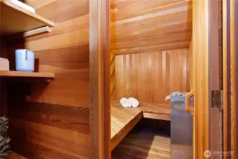 Wet sauna off primary bath