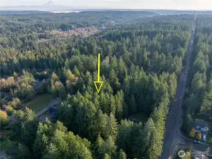 Peacock Hill location- minutes to Costco, Hwy 16 and downtown Gig Harbor.