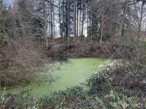 One of two ponds