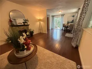 Electric fireplace stays!