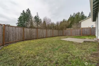Backyard