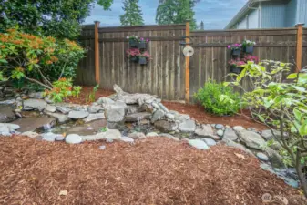 Water Feature Back Yard