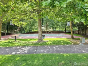 Community Sport Court & Park, just 1 block away.  Sport Court has painted full court basketball lines & glass backboards.