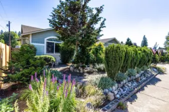 Front yard landscaping