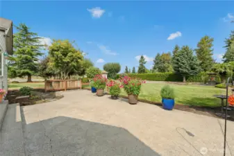 Back patio