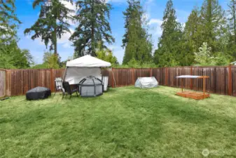 Fully fenced backyard with greenbelt view