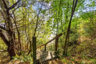 Path to the beach and stairs leading down