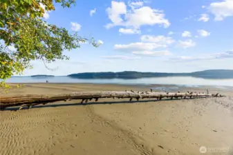 On a clear day you can see the Olympics, the Cascades AND Mt. Rainier from the beach.