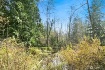 Natural pond on the lot, home to wildlife and native plants