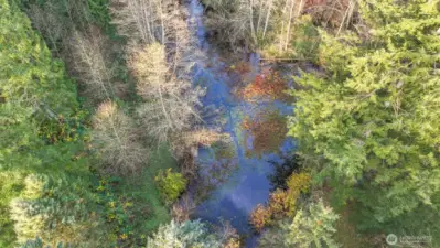 Scenic pond on the property, shown from an aerial perspective