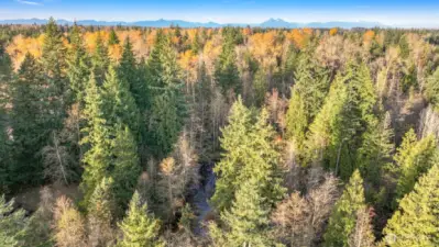 roperty aerial showing natural surroundings and distant mountains