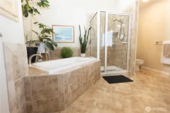 Primary bathroom