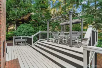 Entertaining Deck