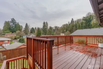 Another view of the beautiful deck.