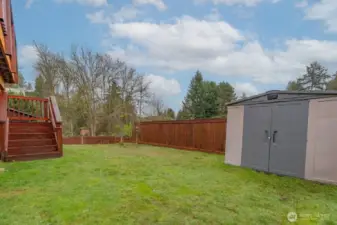 Backyard shed