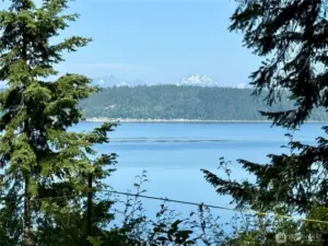 Watch eagles as the soar overhead and keep an eye out for whales that frequently visit Port Susan.