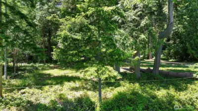 Partially cleared with the well and electricity on site.