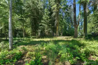 This 1.67 acre parcel is partially cleared, has a two party well installed (shared with the property to the north), power on site and a perk test previously done.