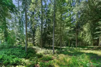 Experience the incredible views of & watch the sunrise over the mountain tops in this peaceful & tranquil setting. Whales frequently swim by, eagles soar overhead, & Camano Island is famous for their crab rich waters.