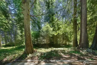 Situated on beautiful Camano Island, the convenient and no ferry needed island.  Enjoy living the island lifestyle with the convenience of mainland living.