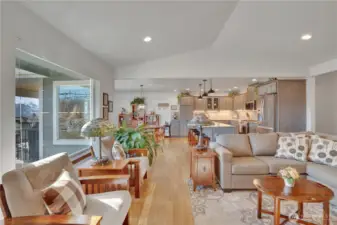 Living Room with Lots of Light