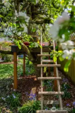 TREE  FORT