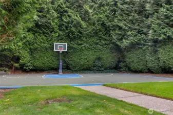 Basketball court